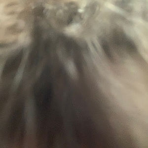 Meet your Posher, Ermia